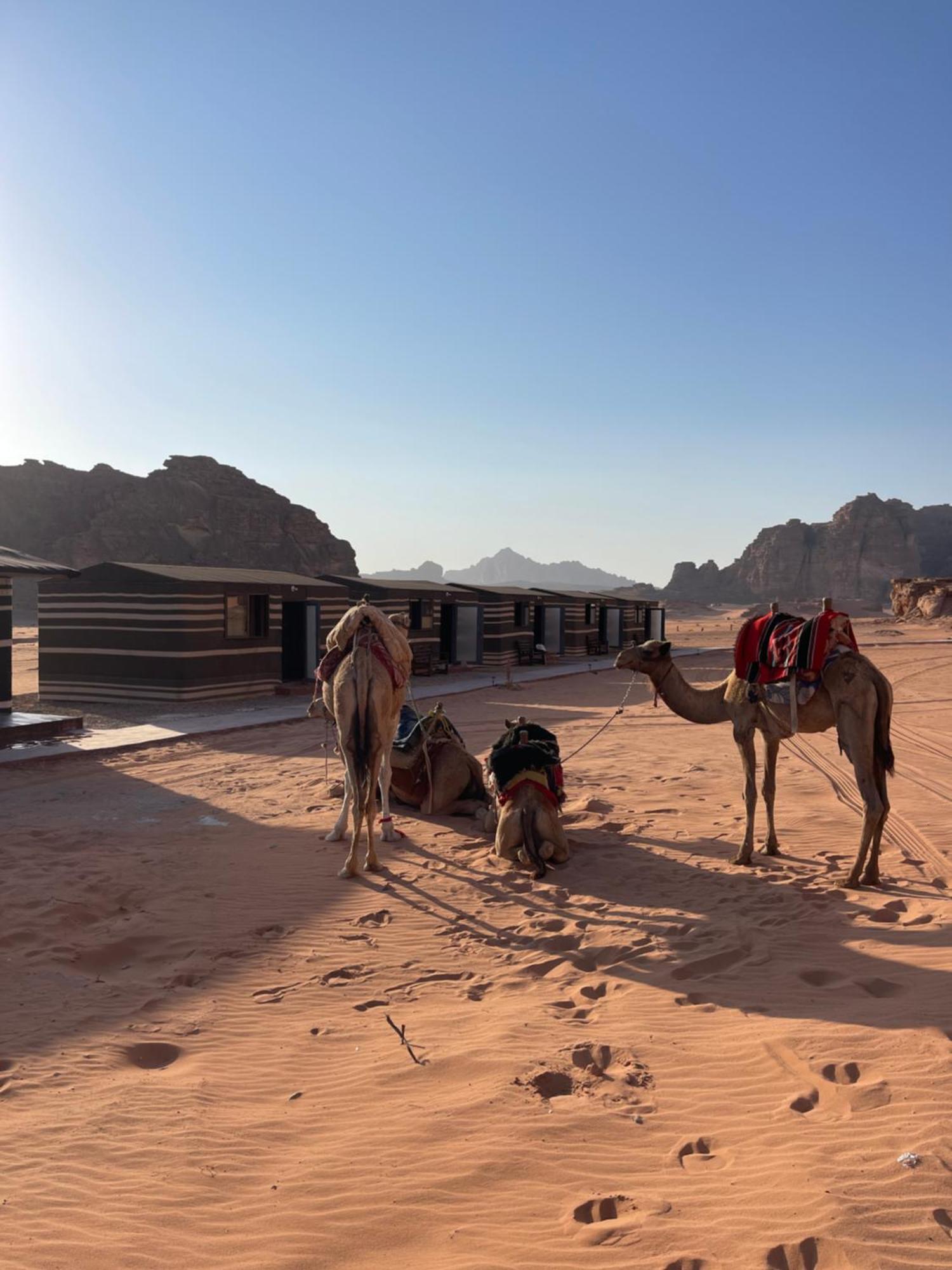 Wadi Rum Star Camp Bagian luar foto